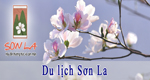 son la