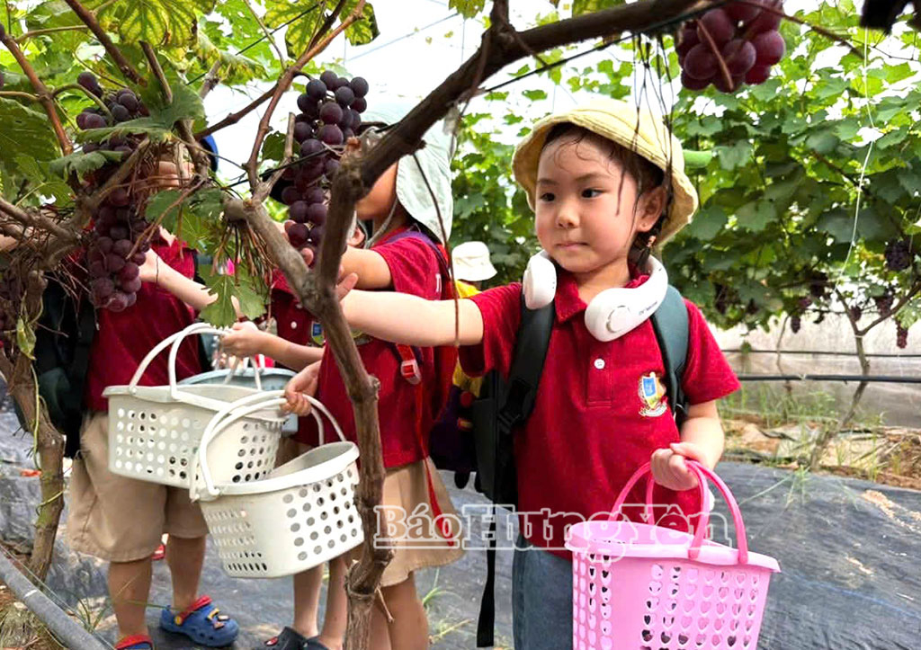 Nâng giá trị nông sản từ du lịch trải nghiệm
