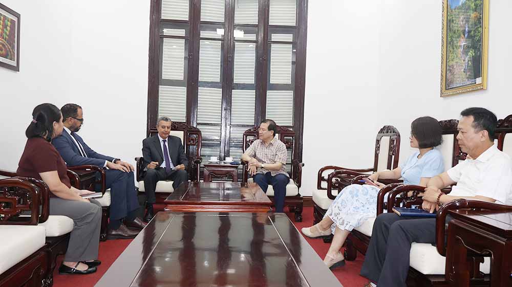 Cục Du lịch Quốc gia Việt Nam làm việc với Hãng hàng không Air Cairo, thúc đẩy kết nối du lịch Việt Nam - Ai Cập